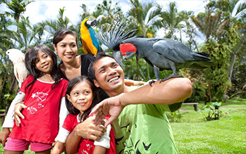 bali bird park